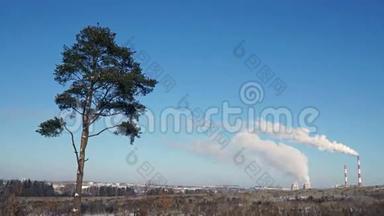 环境的污染.. 工厂烟囱里的烟和田野里孤独的<strong>树</strong>